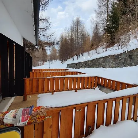 Stella Alpina Di Pila Pila (Valle d'Aosta)